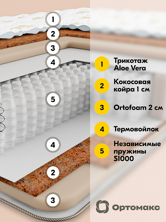 Multi Base 21 S1000 (Мульти Бэйс 21 S1000)