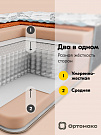 Orto Big (Орто Биг)